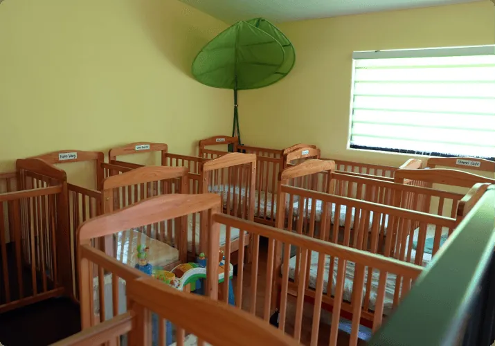 Niños aprendiendo en Palos Verdes Montessori Academy, Palos Verdes Peninsula – foto 2