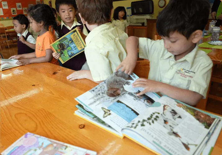 Niños aprendiendo en Palos Verdes Montessori Academy, Palos Verdes Peninsula – foto 39