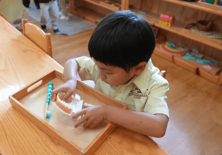Niños aprendiendo en Palos Verdes Montessori Academy, Palos Verdes Peninsula – foto 10