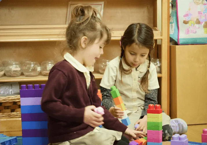 Daily life at Palos Verdes Montessori Academy – photo 4